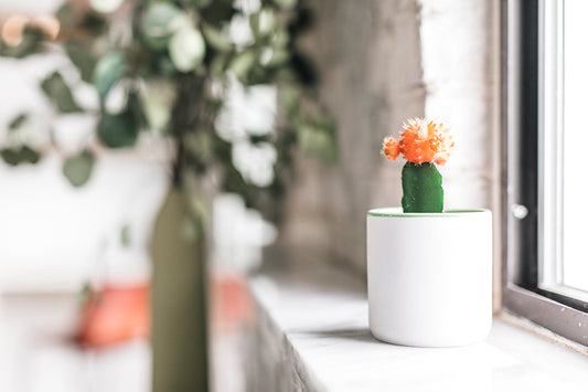 How to: Reuse your empty candle containers