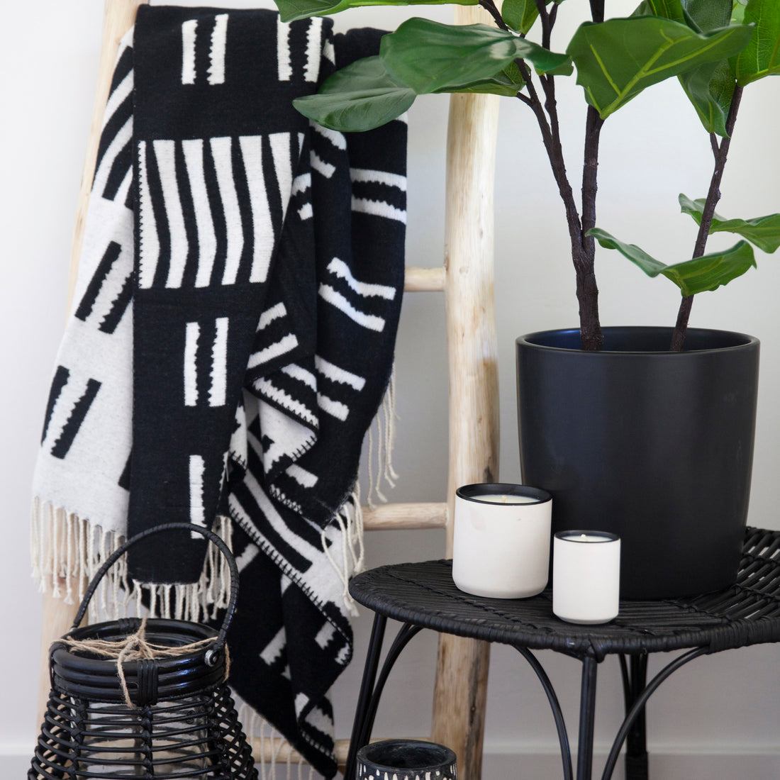 Black and White Home Decor Ideas from Standard Wax - Candles, Fiddle Leaf Fig, Plants, Blankets